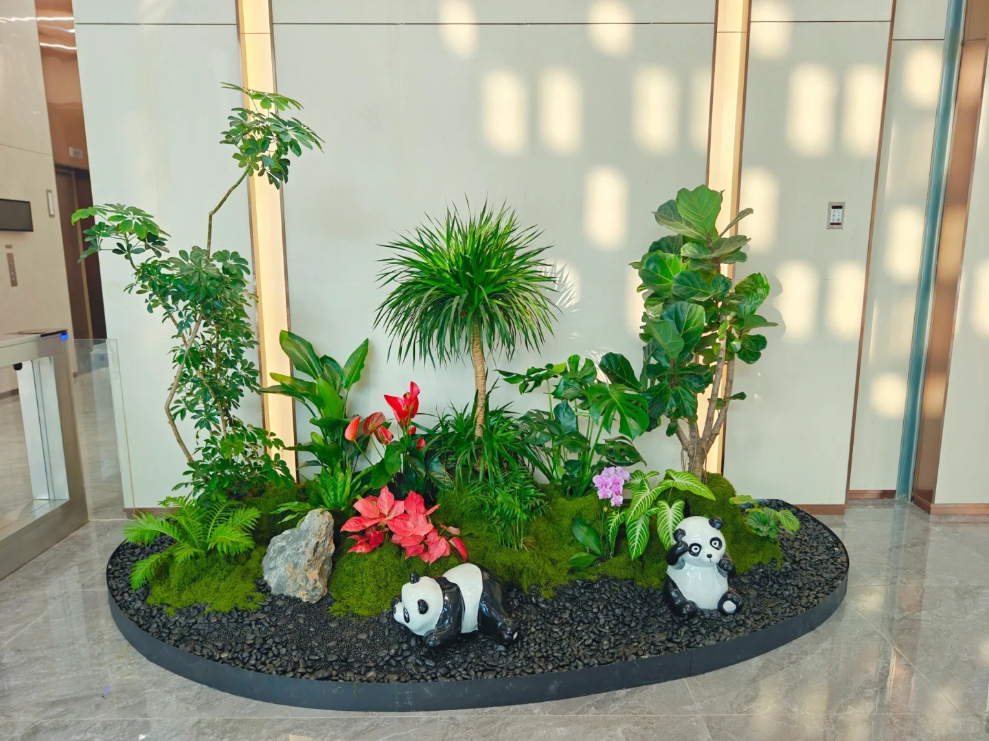 专业镇海植物租赁,营造迷人绿色氛围